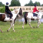 лагерь с лошадьми в Литве
