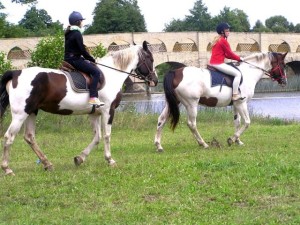 лагерь с лошадьми в Литве