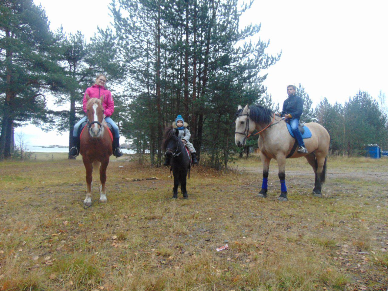 Семейный отдых с лошадьми и творческими занятиями